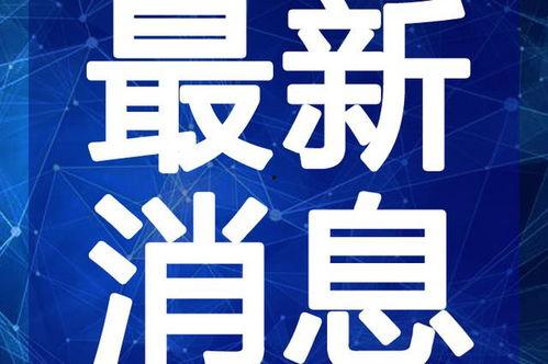 白露夺宝最新爆料视频在线观看,揭秘宝藏之谜,精彩视频在线观看